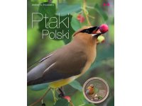Ptaki Polski część II