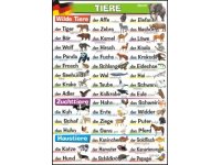 Tiere - plansza