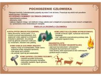 Zestaw plansz w wersji na CD