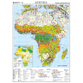 Afryka. Mapa gospodarcza