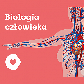 Aplikacja Corinth - Biologia Człowieka