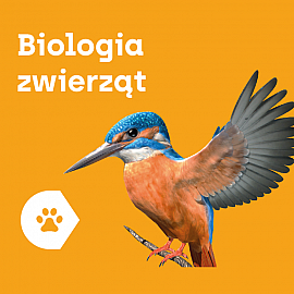 Aplikacja Corinth - Biologia Zwierząt