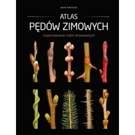 Atlas pędów zimowych