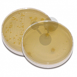 Badanie wody użytkowej, wody pitnej i powietrza