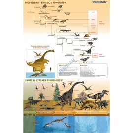 Ewolucja dinozaurów - świat w czasach wielkich gadów - ścienna plansza dydaktyczna