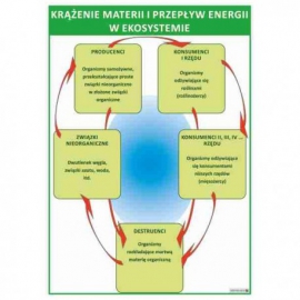 Krążenie materii i przepływ energii w ekosystemie