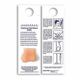 Mini model jąder do samobadania.