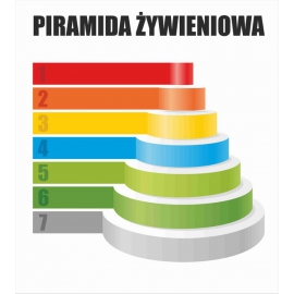 NAKŁADKA – PIRAMIDA ŻYWIENIOWA wyposażenie podstawowe w tubusie kolorowym