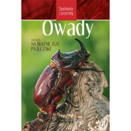 Owady