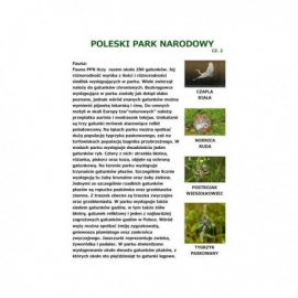 Poleski Park Narodowy cz. 2
