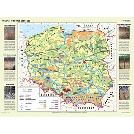 Polska - rodzaje gleb 200 x 150 cm