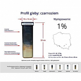 Profile glebowe – czarnoziem