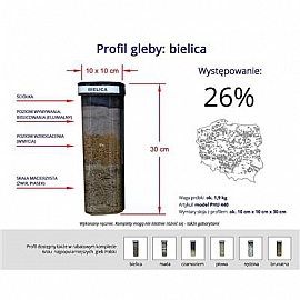 Profile glebowe – bielica