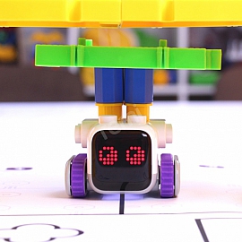 ROBOT EDEK