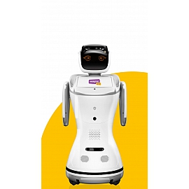 Robot Sanbot