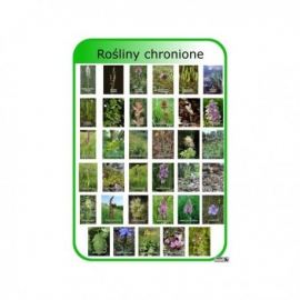 Rośliny chronione cz. 1