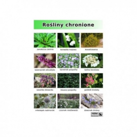 Rośliny chronione cz.2