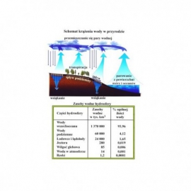 Schemat krążenia wody w przyrodzie