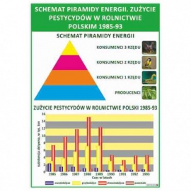 1686 Schemat piramidy energii. Zużycie pestycydów w rolnictwie Polski 1985-93