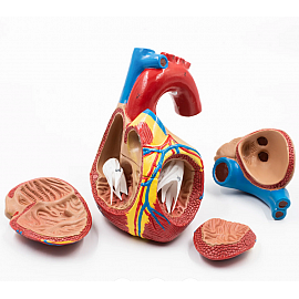 Serce - 3 ruchome cęści