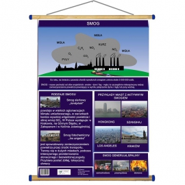 Smog WDS PHU301