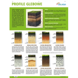 Tablica edukacyjna "Profile glebowe" - metalowa 60 x 80 cm