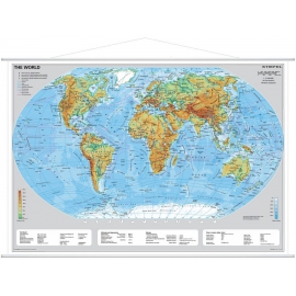 The World physical