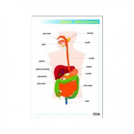 023 Układ pokarmowy