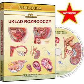 Układ rozrodczy człowieka