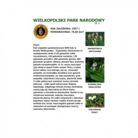 Wielkopolski Park Narodowy cz. 1