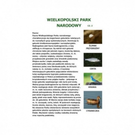 Wielkopolski Park Narodowy cz. 2