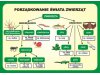 Przyroda - Zestaw foliogramów + program CD