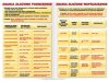 JĘZYK POLSKI: Składnia – plansze A1