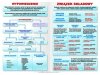 JĘZYK POLSKI: Składnia – plansze A1
