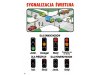 Wychowanie komunikacyjne, część 1
