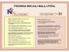 Zestaw plansz w wersji na CD - język polski SP