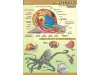 Zoologia - 11 plansz