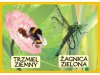 Zwierzęta chronione