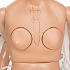 Fantom CPR Siuse