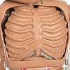 Fantom CPR Siuse