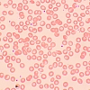Mikroskop biologiczny MAGUS Bio 250BL
