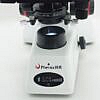 Mikroskop PHENIX BMC100 BINO, 40x-1000x