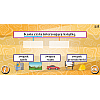 Program Język polski Klasa 4–6, Wersja Online