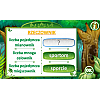 Program Język polski Klasa 4–6, Wersja Online