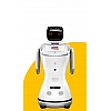 Robot Sanbot