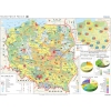 Rolnictwo w Polsce - uprawy i struktura użytkowania ziemi - mapa ścienna 200x150 cm