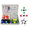 Zestaw modelowy Chemii Organicznej,modele chemiczne (239 sztuk)