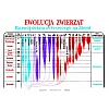 Zoologia część II- zestaw plansz